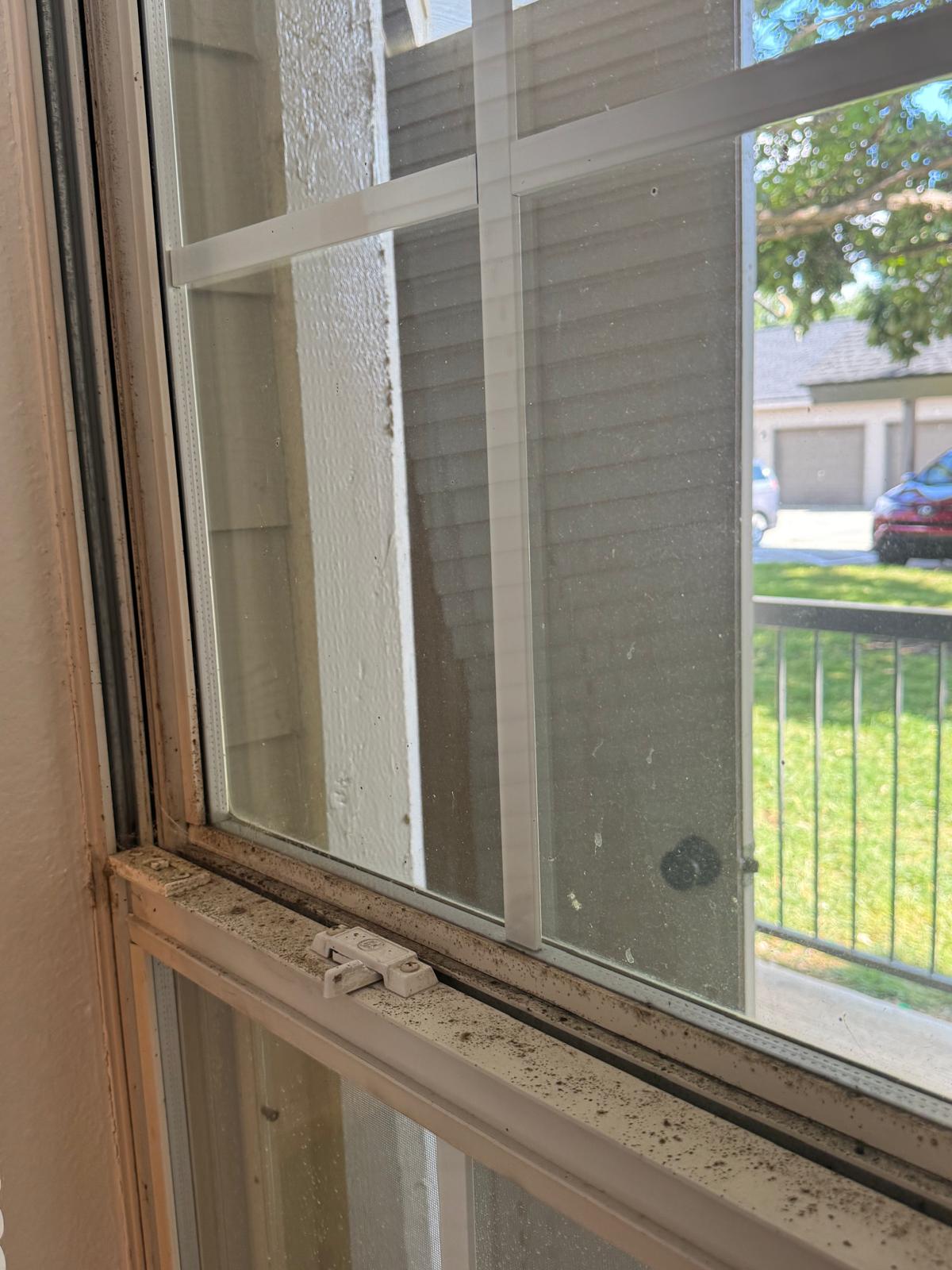 Window before cleaning service in Overland Park, KS